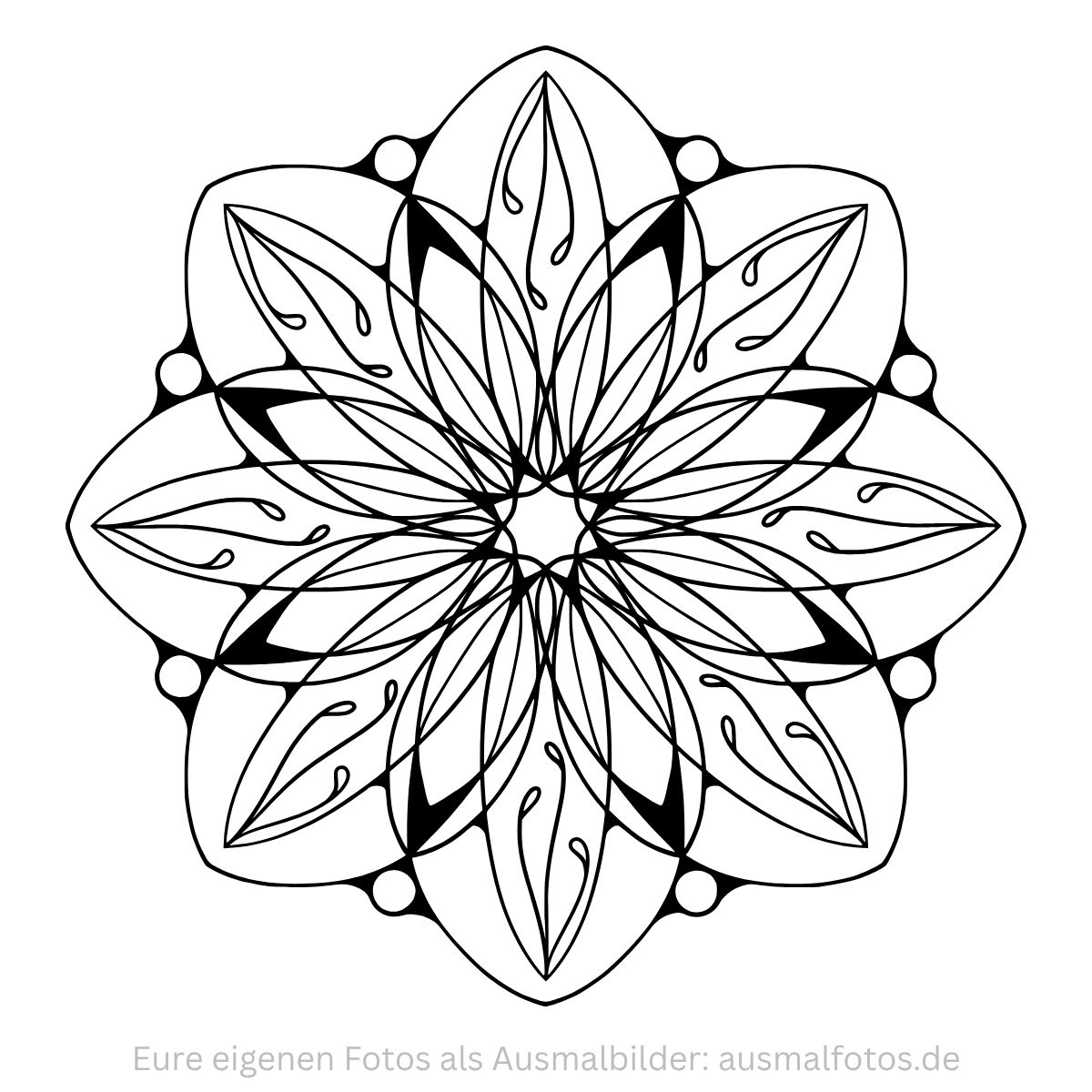 Mandala Bluete Symmetrisch Detailliert Erwachsene Zen Zum Ausdrucken Kostenlos