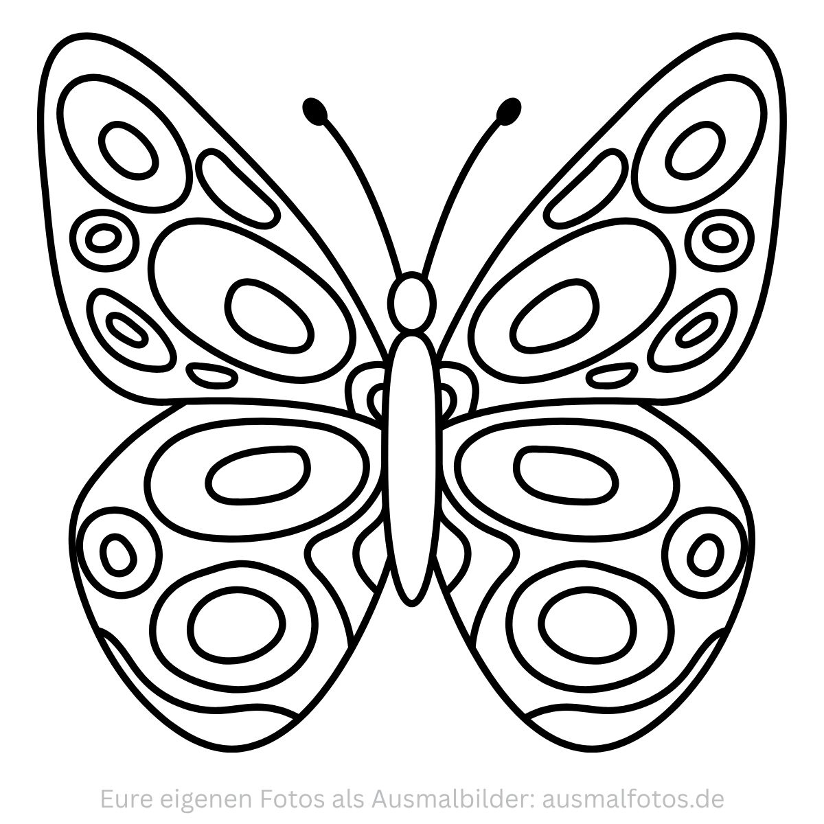 Schmetterling Raupe Insekt Natur Tiere Kinder Zum Ausdrucken Kostenlos Vorschule Schule