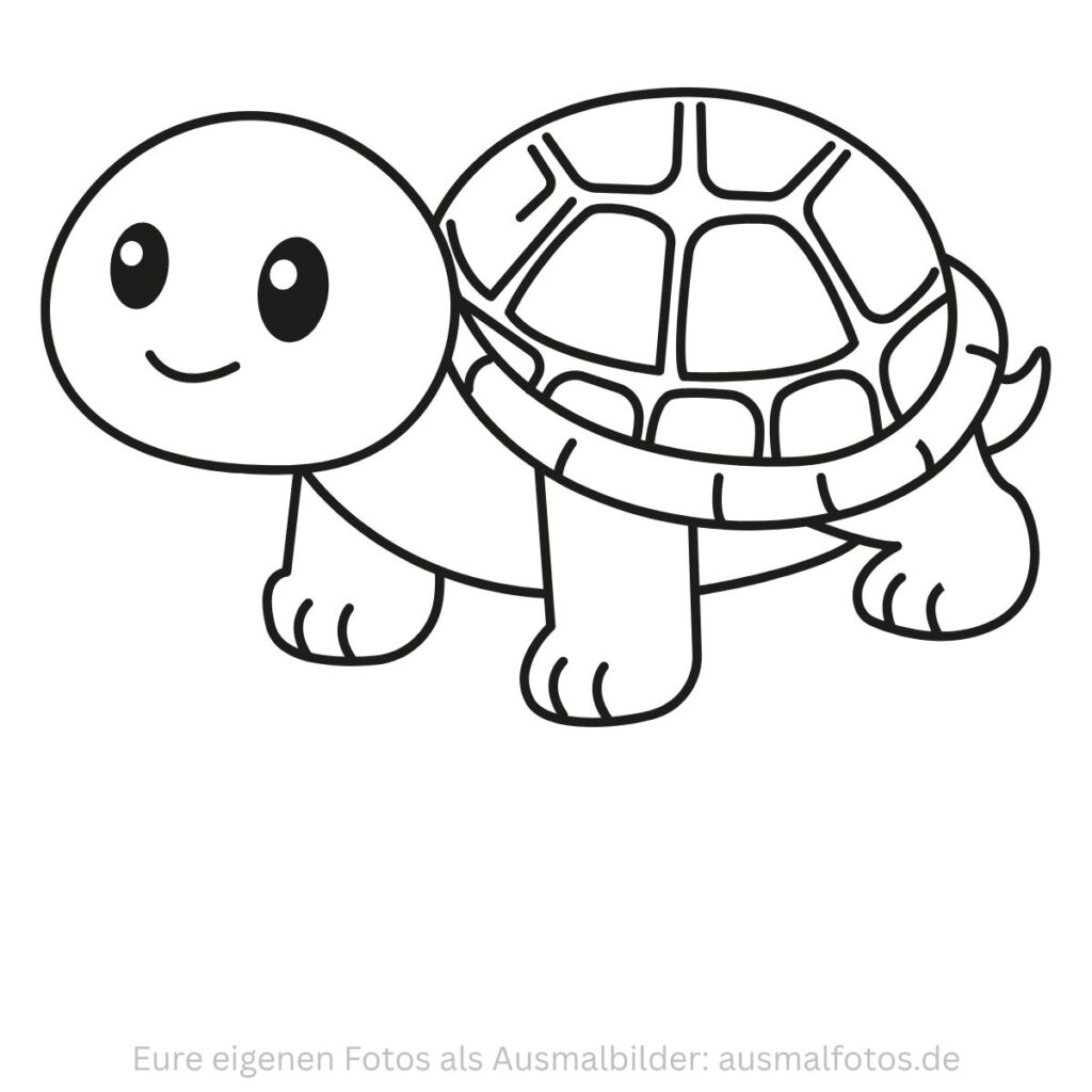 Schildkröte zwischen Blumen – Ausmalbild zum Ausdrucken
