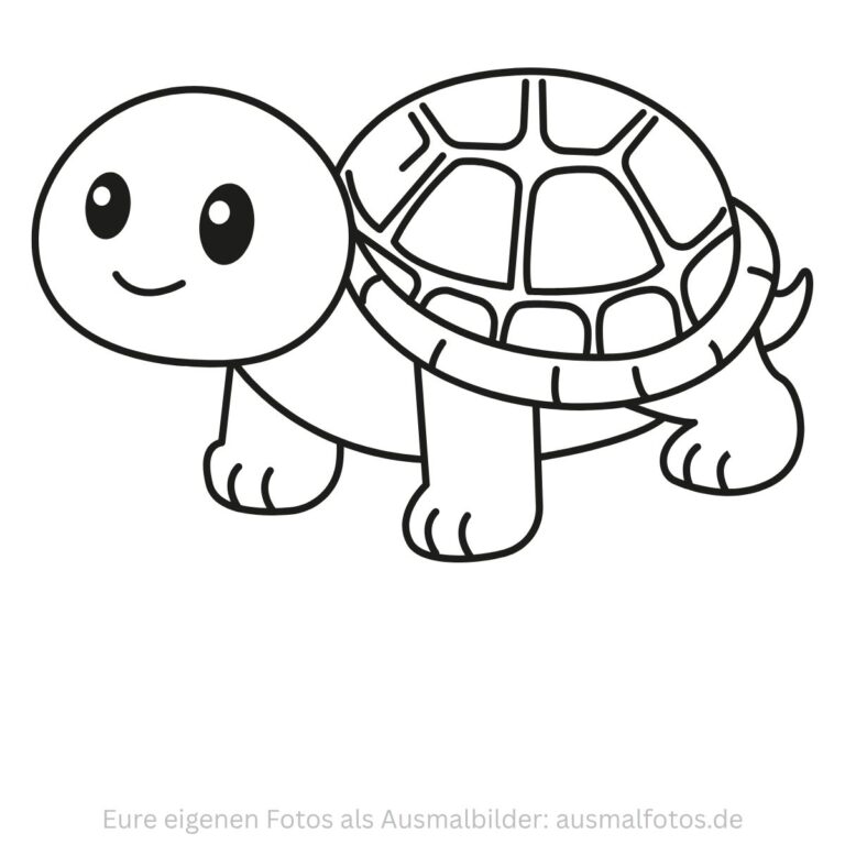 Schildkröte zwischen Blumen – Ausmalbild zum Ausdrucken