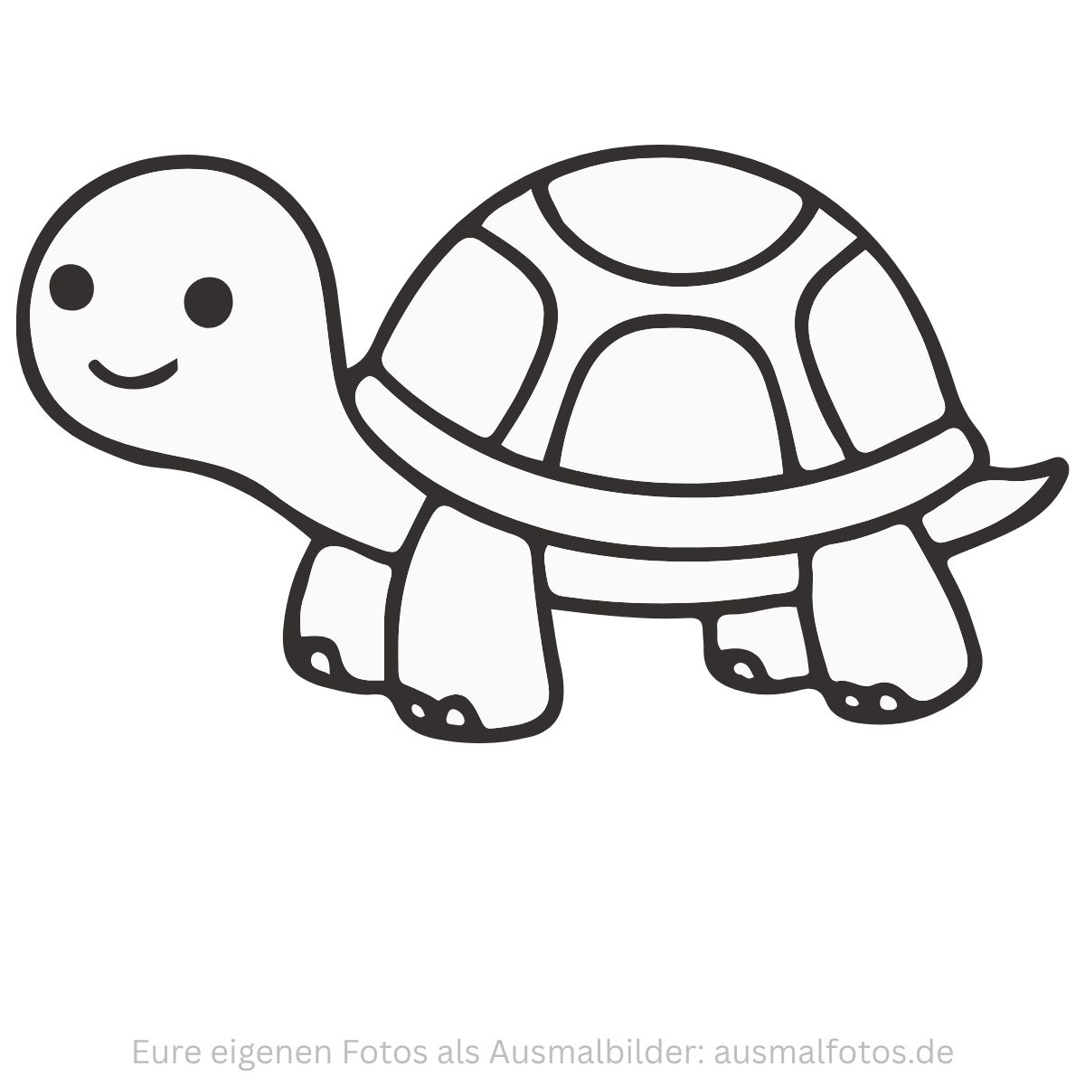 Schildkroete Laufend Tiere Natur Kinder Zum Ausdrucken Kostenlos Vorschule