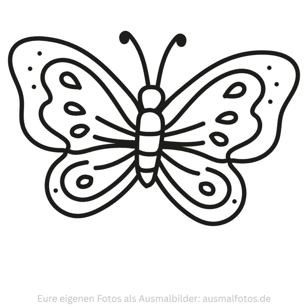 Schmetterling mit großen Flügeln – Ausmalbild zum Ausdrucken