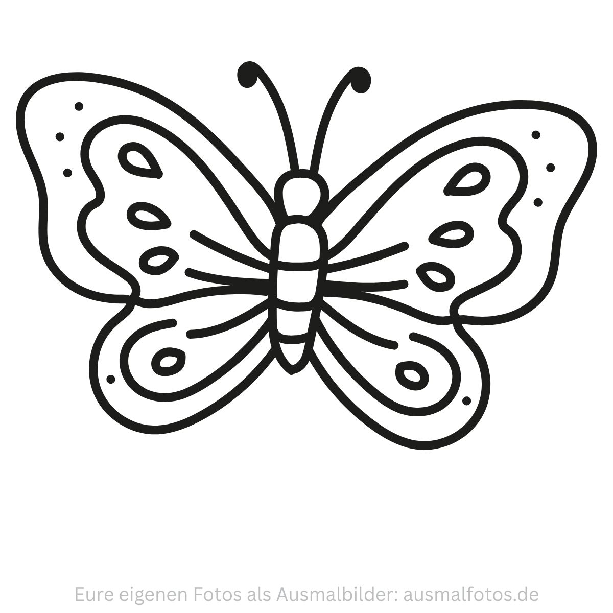 Schmetterling Fluegel Insekt Natur Fruehling Kinder Zum Ausdrucken Kostenlos