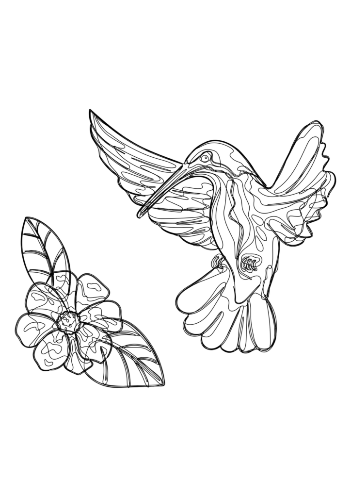 Kolibri Ausmalbild – Ausmalbild zum Ausdrucken