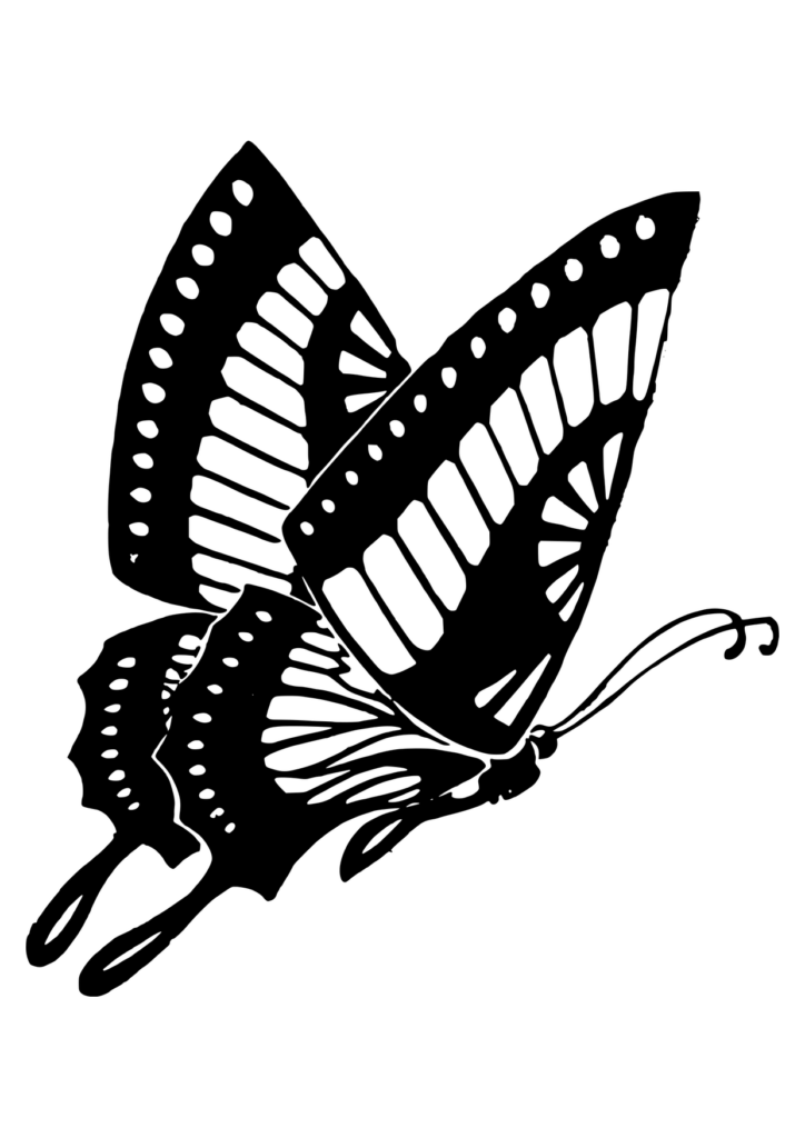 Schmetterling Ausmalbild – Ausmalbild zum Ausdrucken