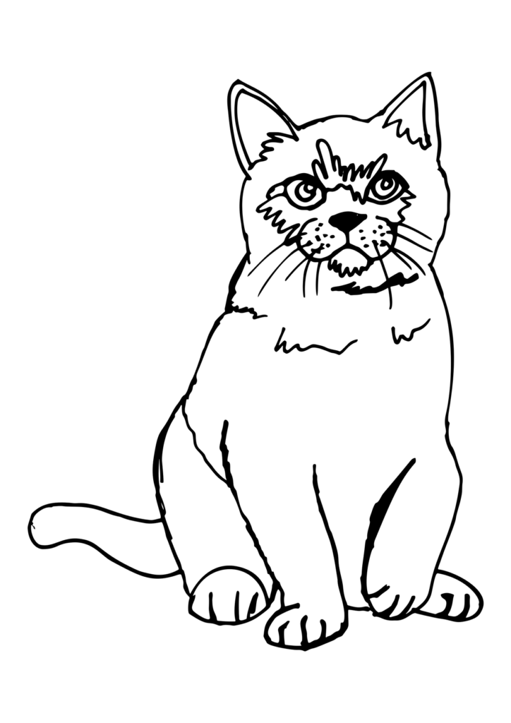 Katze Ausmalbild – Ausmalbild zum Ausdrucken