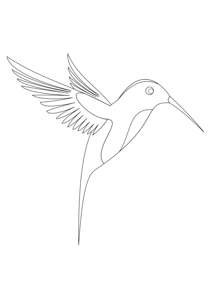 Kolibri Ausmalbild – Ausmalbild zum Ausdrucken