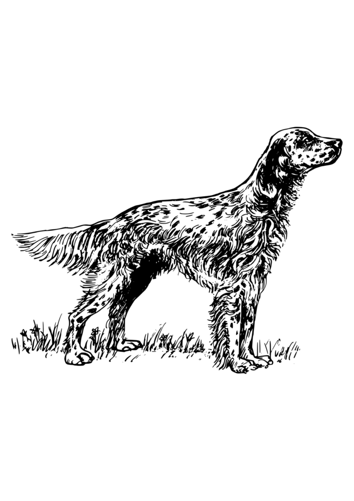 Hund Ausmalbild – Ausmalbild zum Ausdrucken