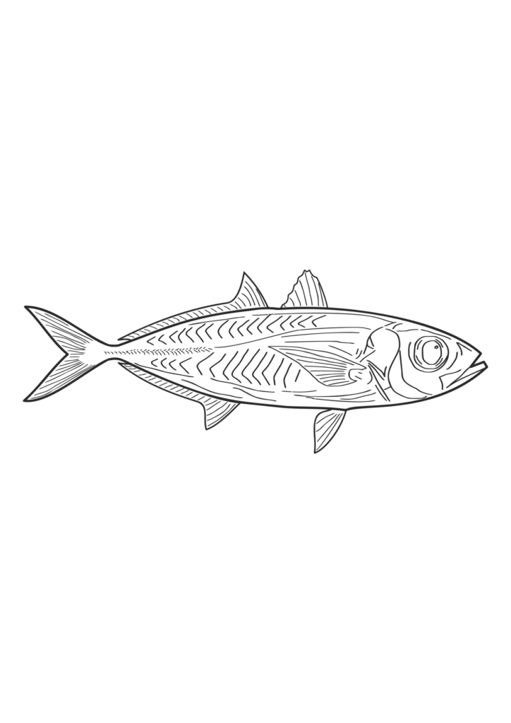 Fish Line Art Fish Animal Swim Marine Water Line Art – Ausmalbild zum Ausdrucken