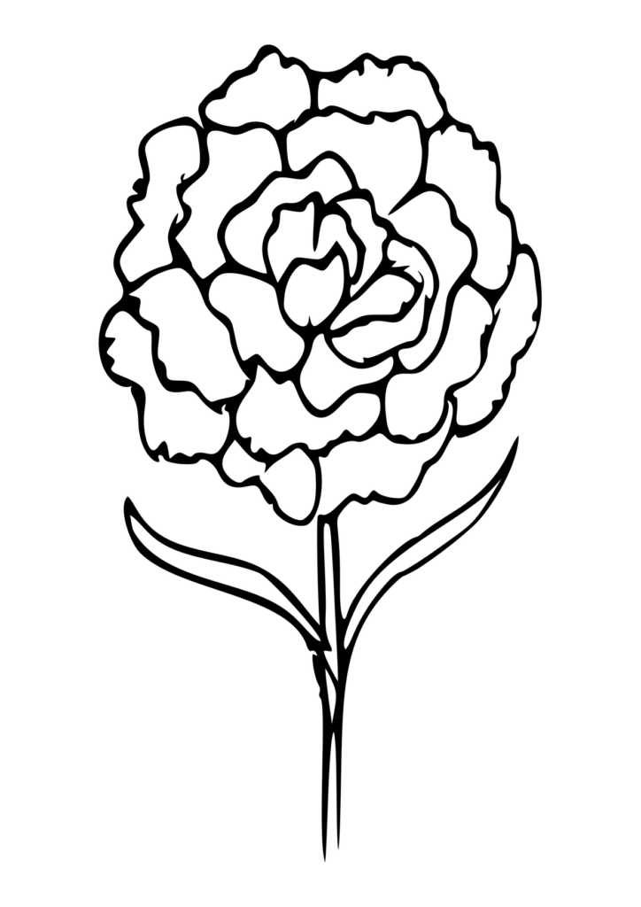Blume Ausmalbild – Ausmalbild zum Ausdrucken