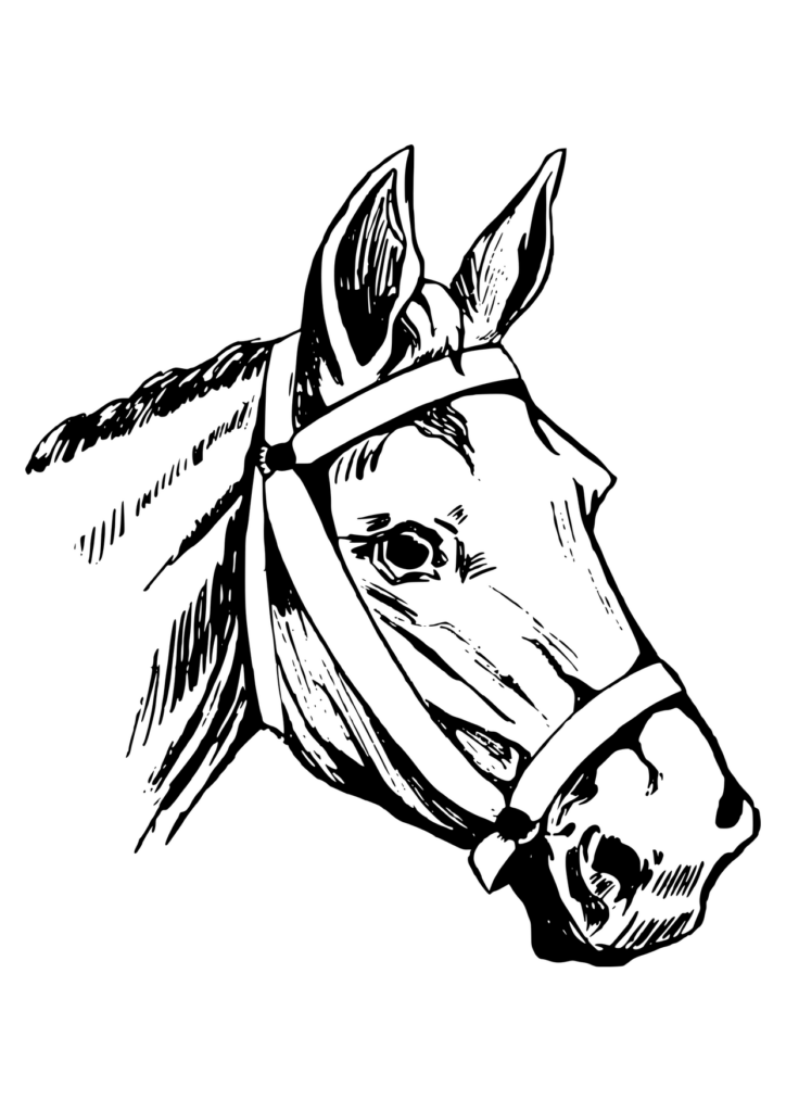 Pferd Ausmalbild – Ausmalbild zum Ausdrucken