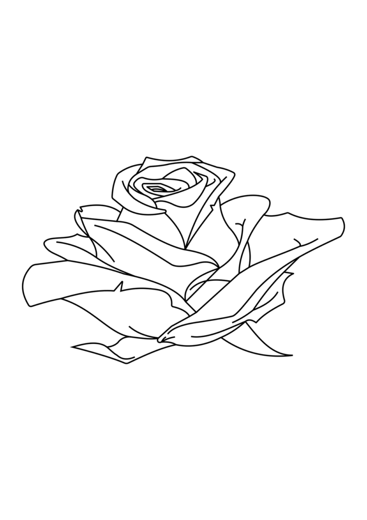 Rose Ausmalbild – Ausmalbild zum Ausdrucken