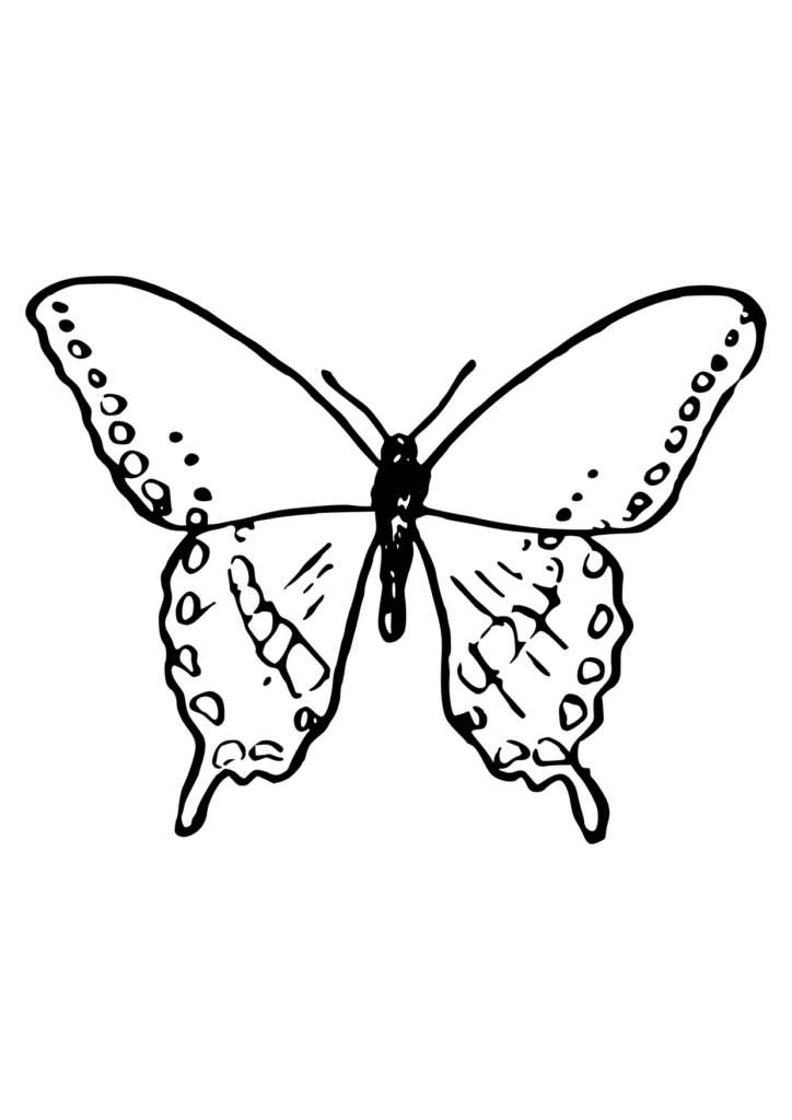 Schmetterling Ausmalbild – Ausmalbild zum Ausdrucken