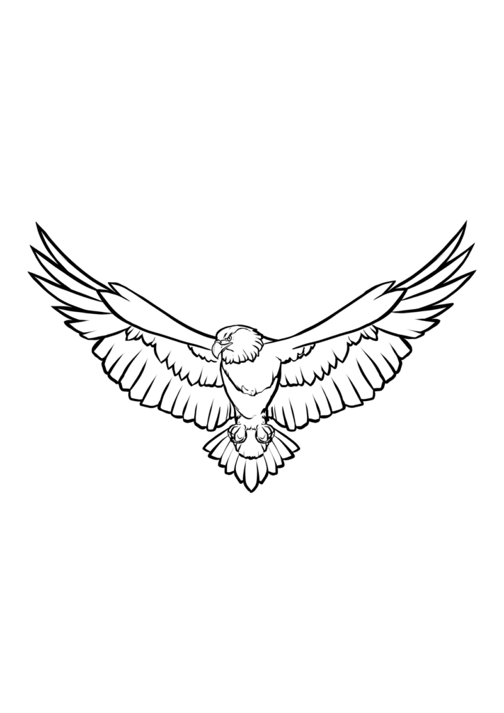 Adler Ausmalbild – Ausmalbild zum Ausdrucken