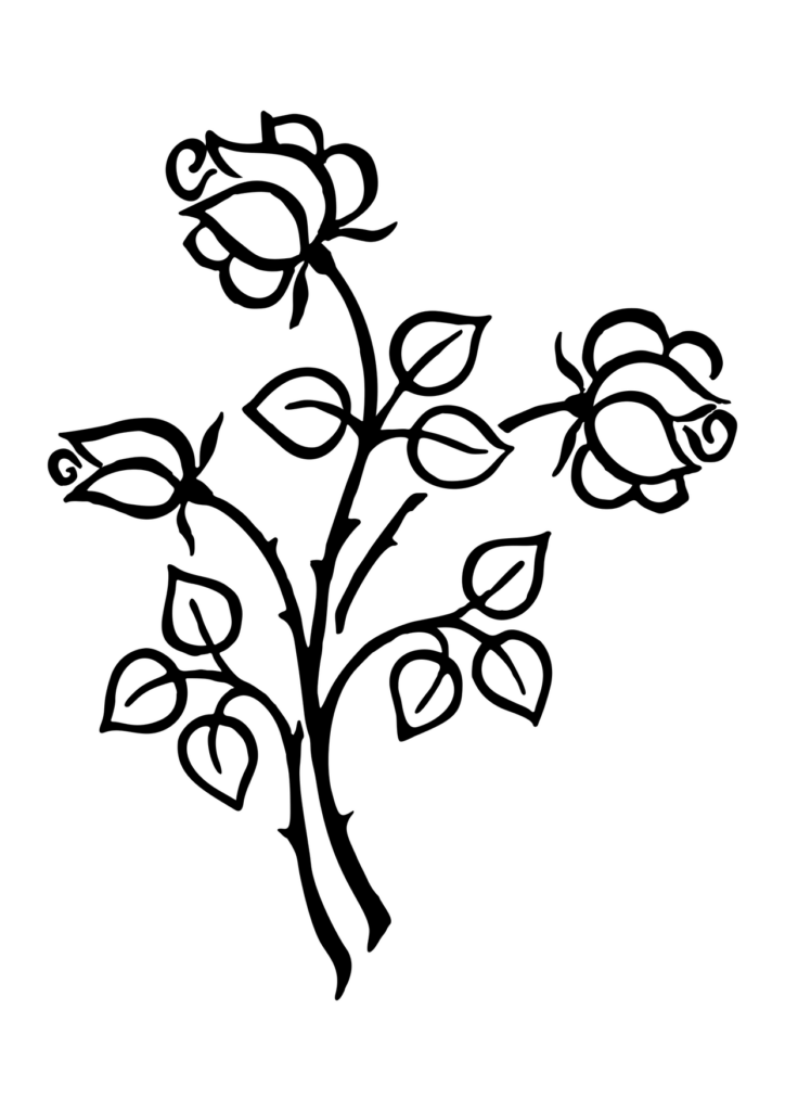 Rose Ausmalbild – Ausmalbild zum Ausdrucken