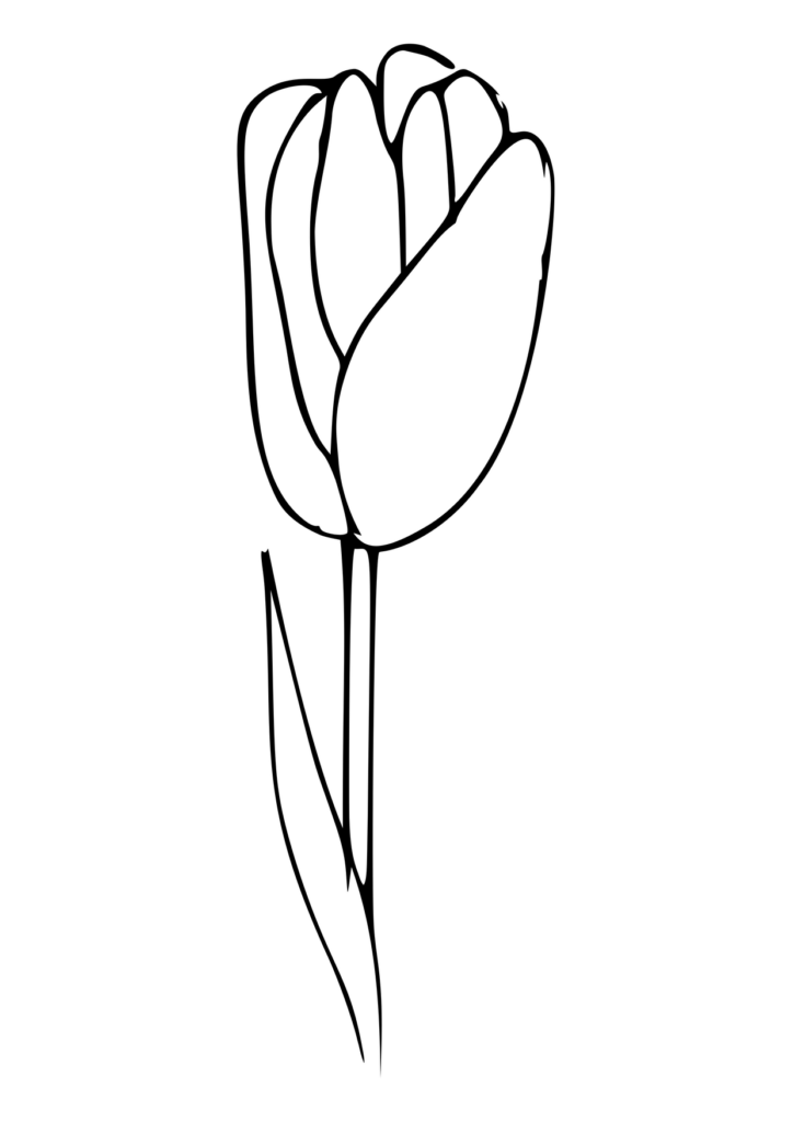 Blume Ausmalbild – Ausmalbild zum Ausdrucken
